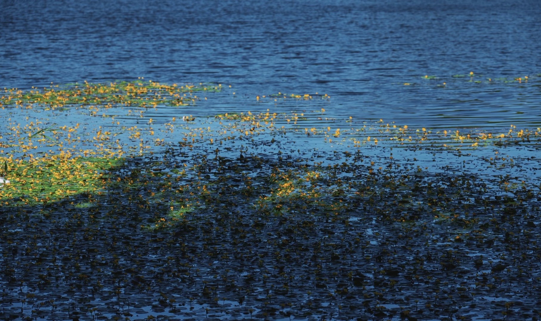 Before using gnomos — manual stack